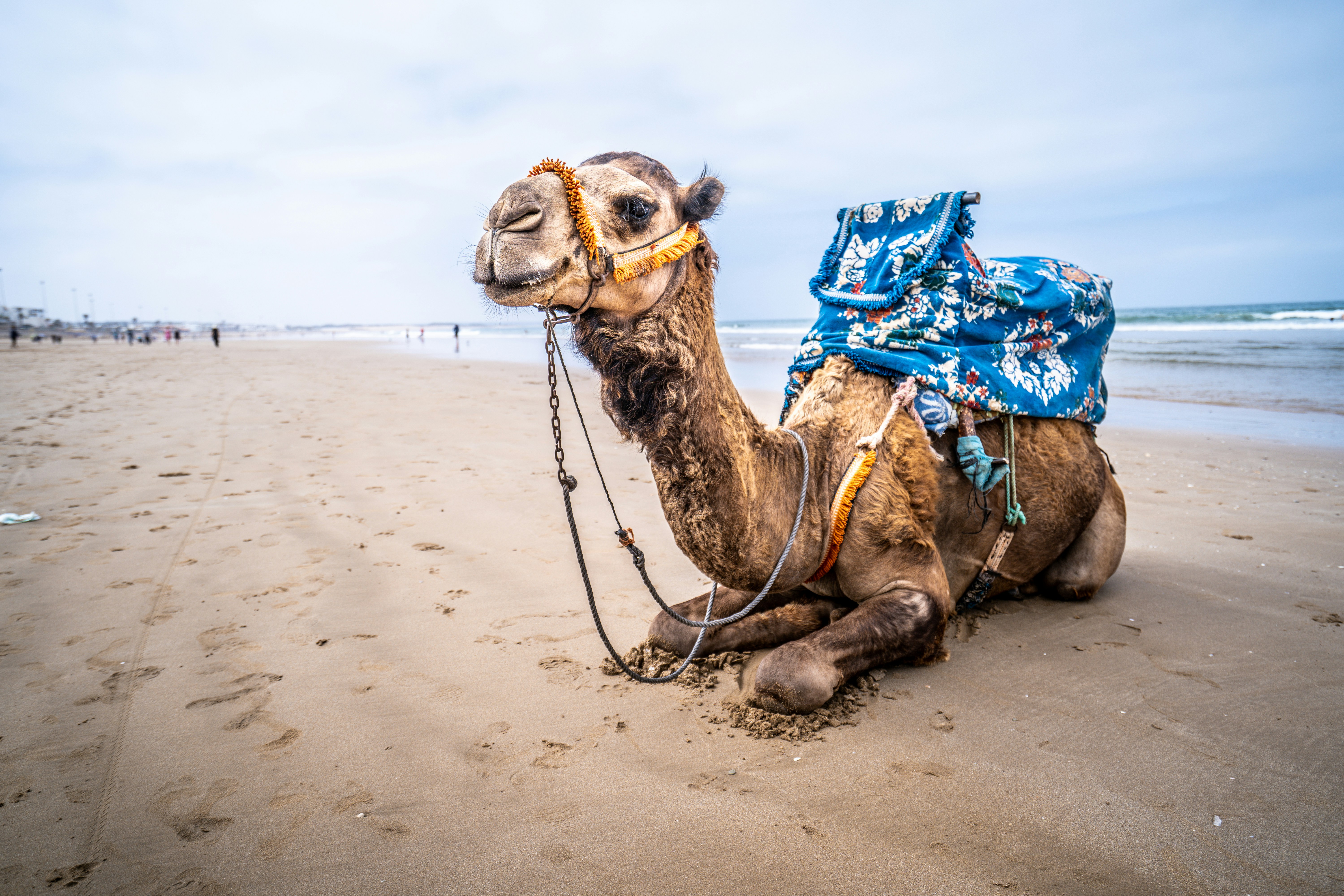 Marokko (Agadir) – Urlaub im Dezember 2026